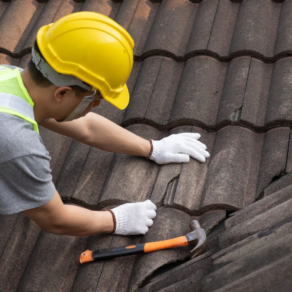 roof repair